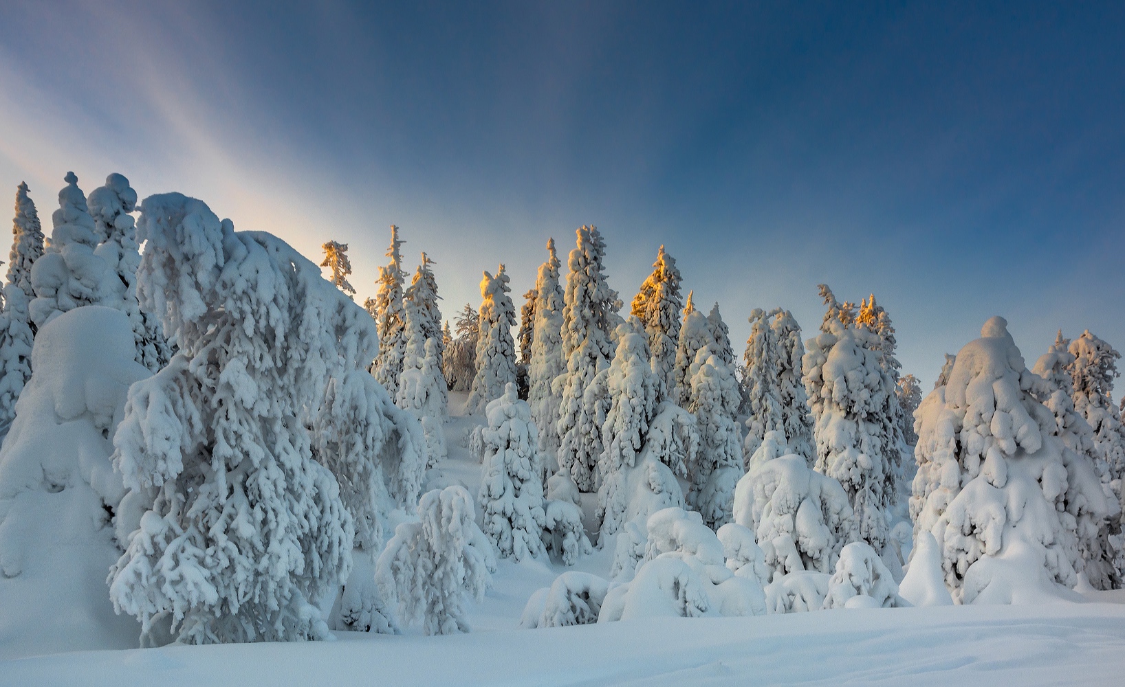 °°° Winter in seiner schönsten Form °°°