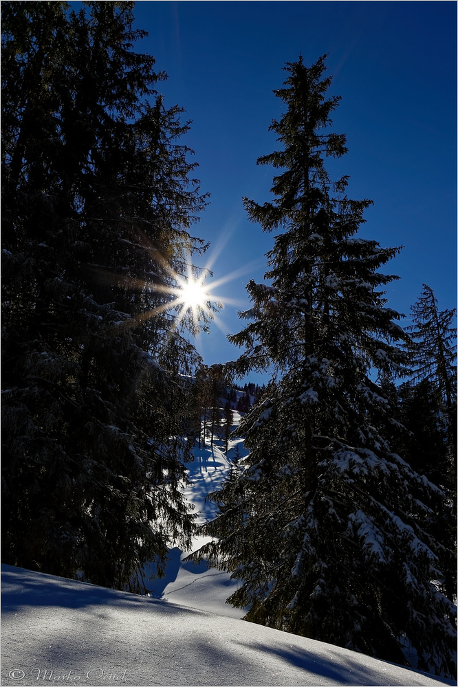 Frohe Weihnachten