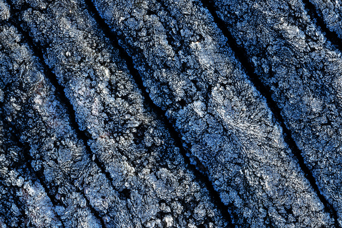 Frostiger Morgen