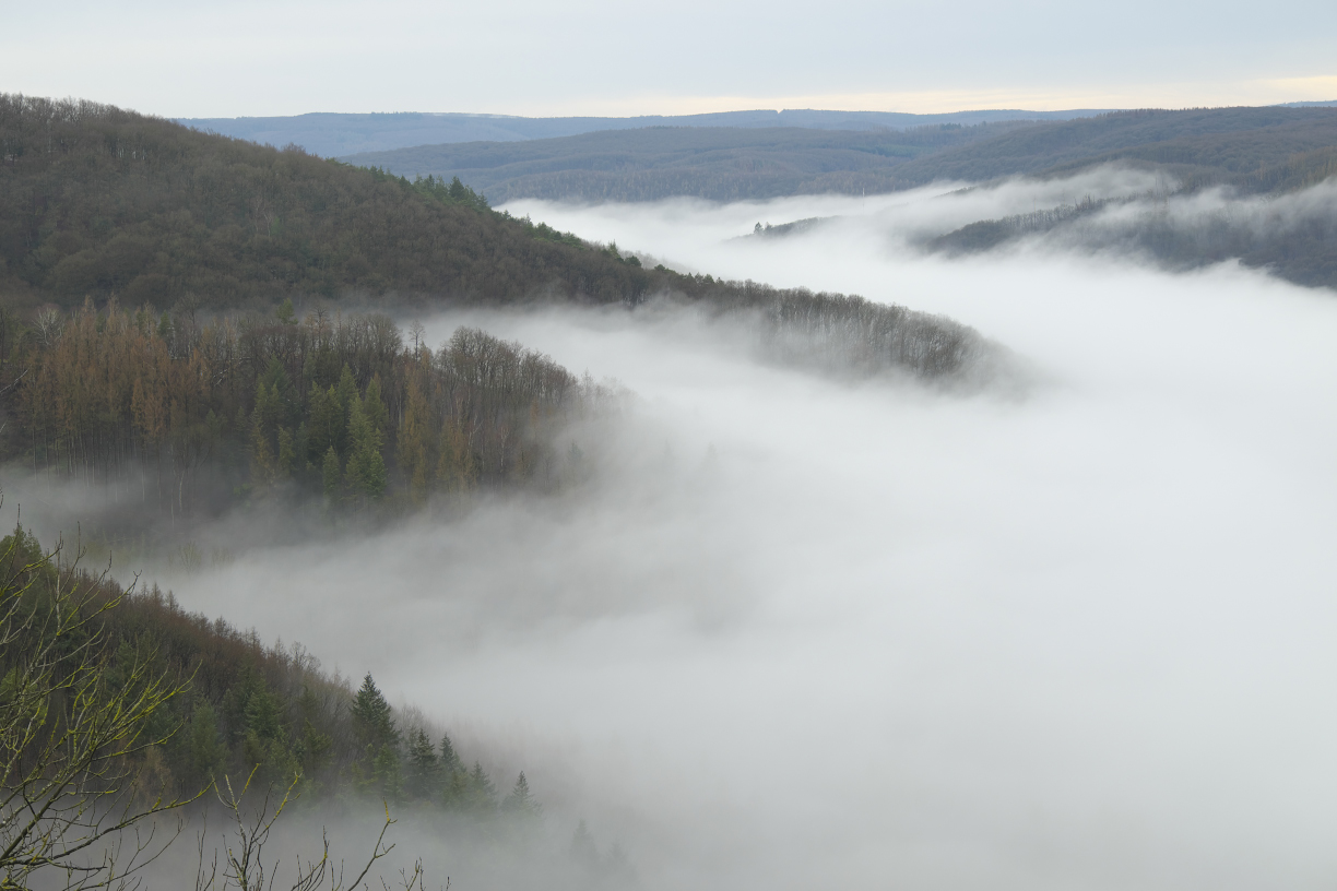 Eifel-Blues