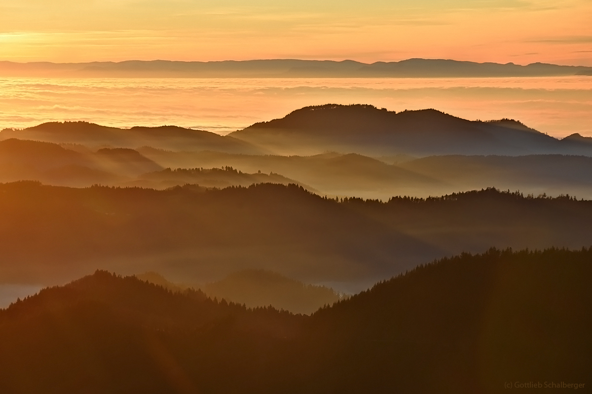 Zum Neuen Jahr ein Lichtblick