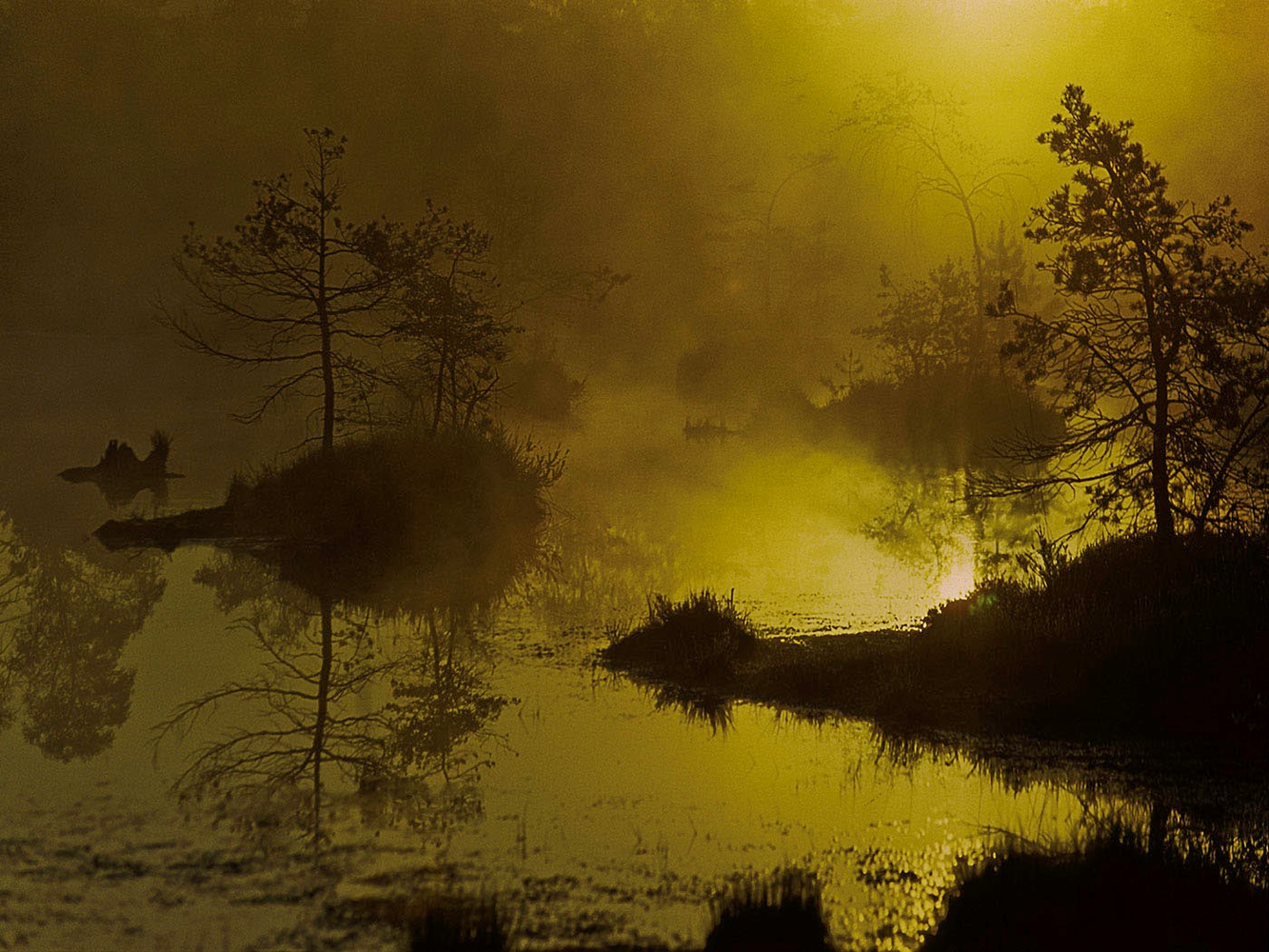 Morgenstimmung Zadlitzbruch
