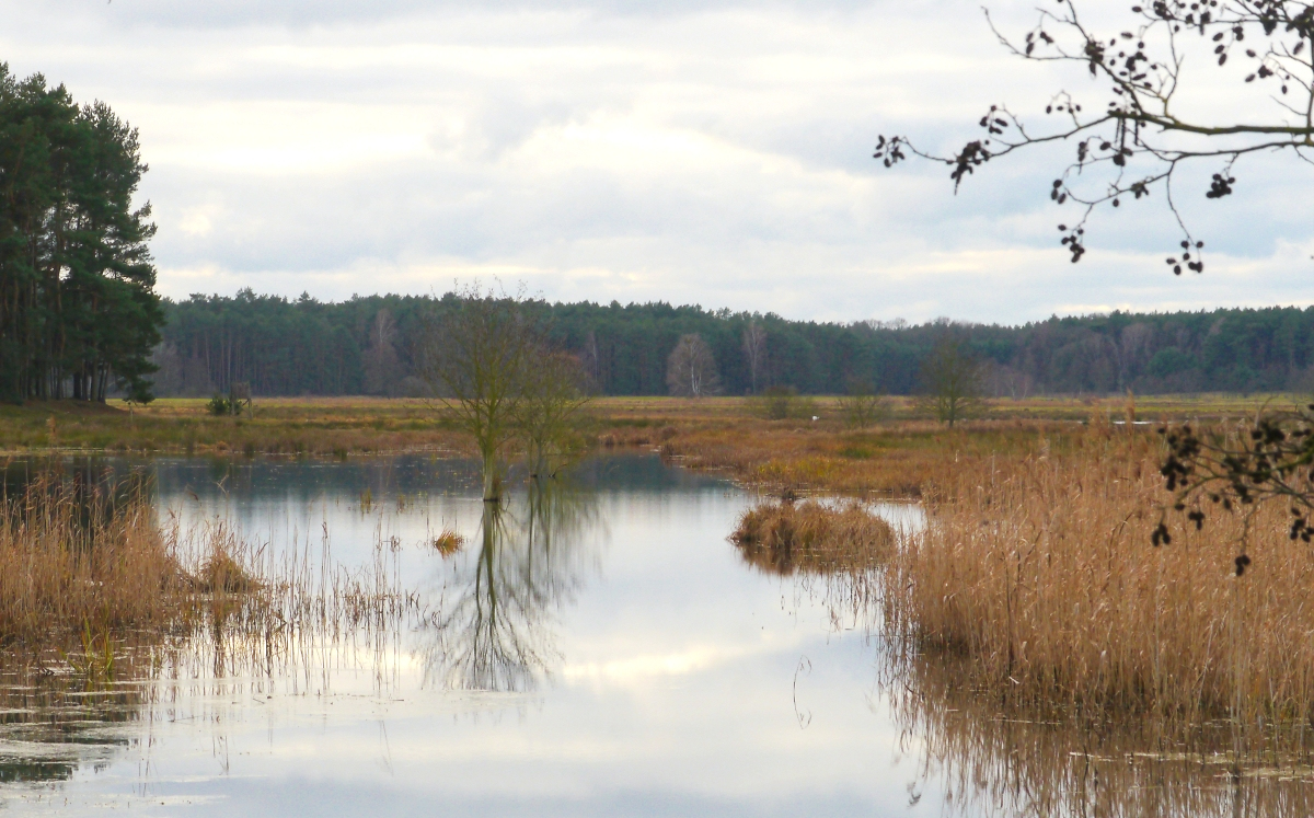 Märkische Winterspiegelei