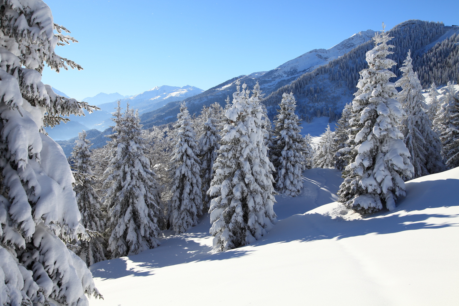 Winterstimmung