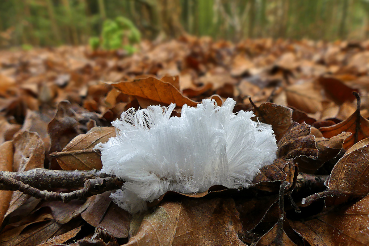 Seltsame Eisgebilde