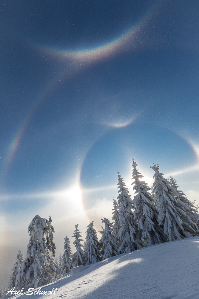 Halo