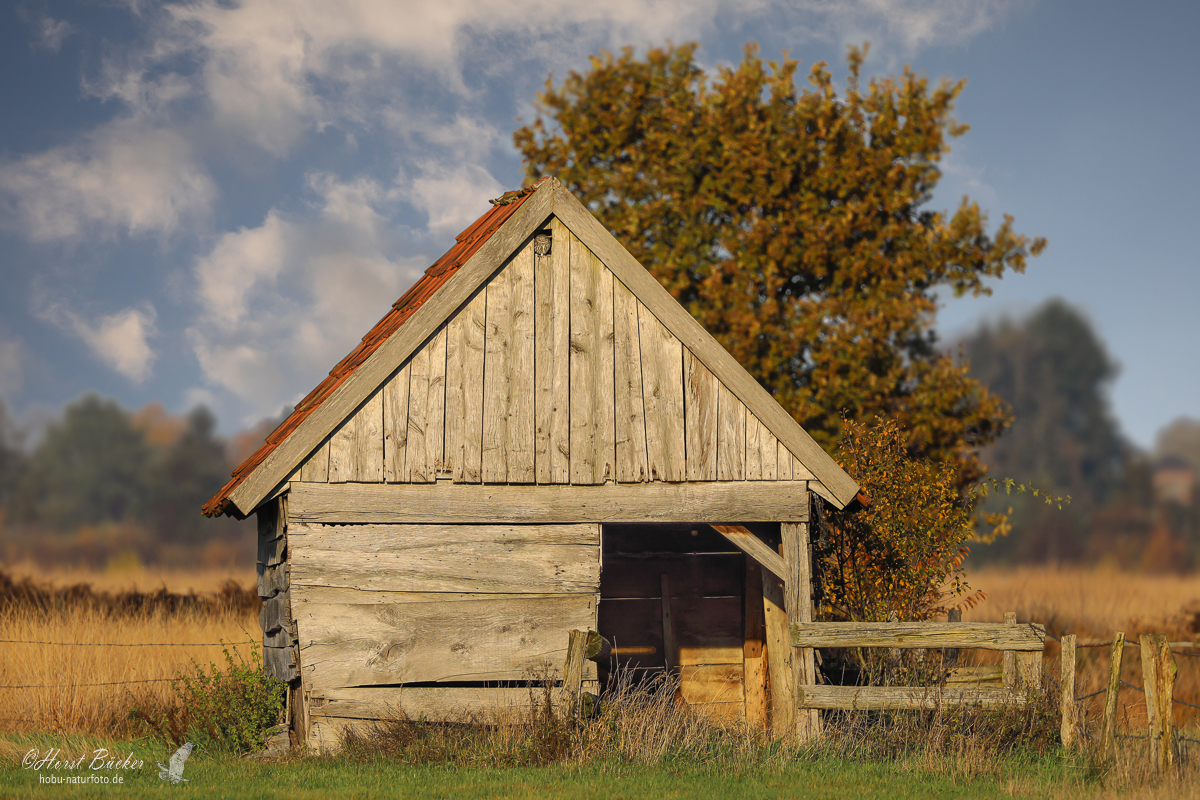 Viehhütte