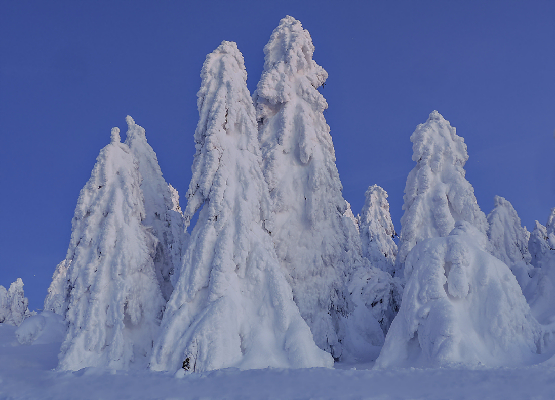 Schneewächter