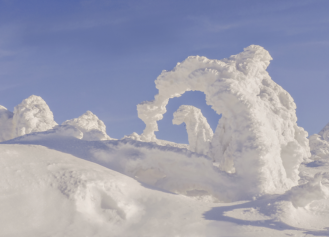 Schneebaumbogen