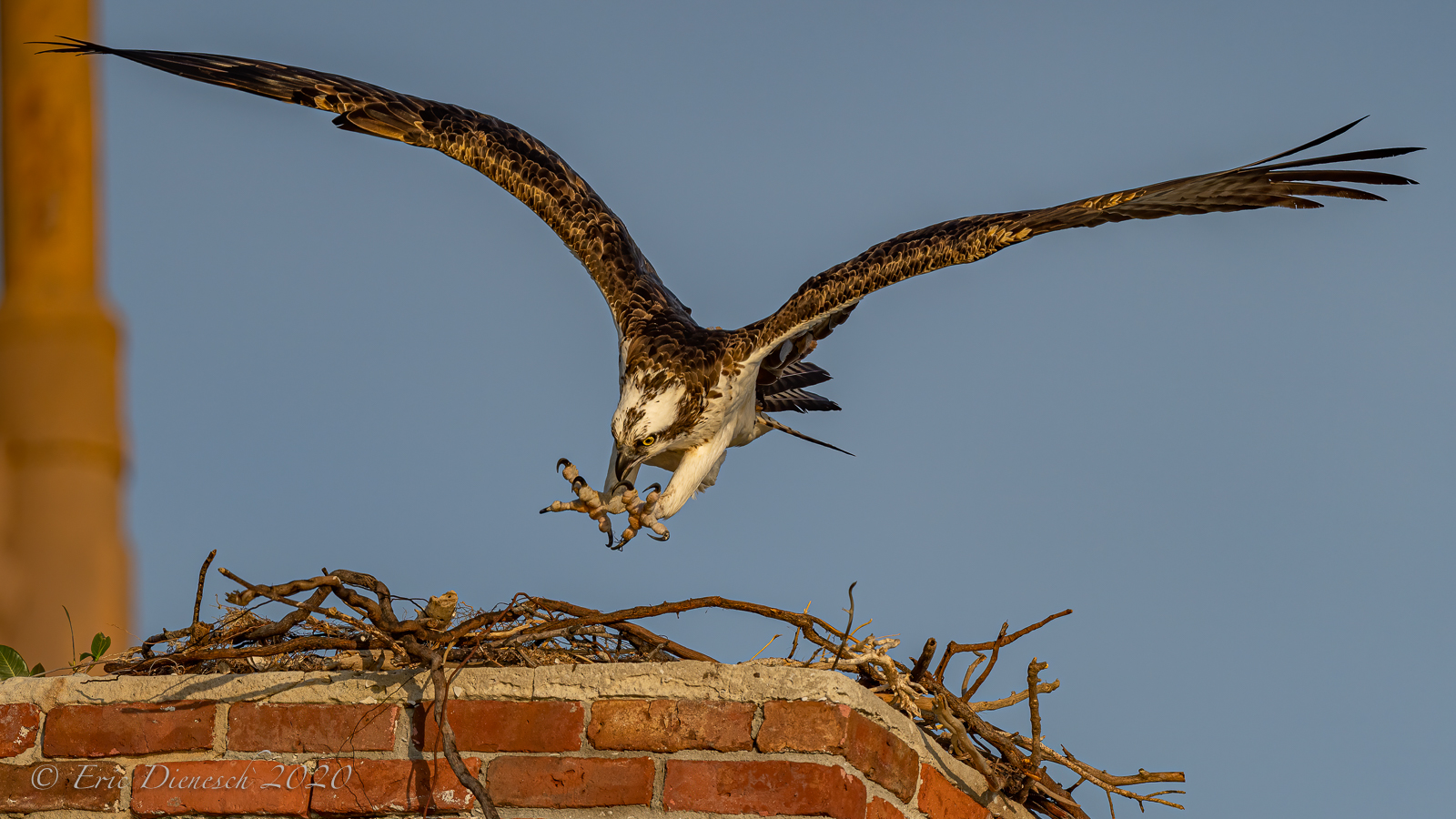 Touchdown
