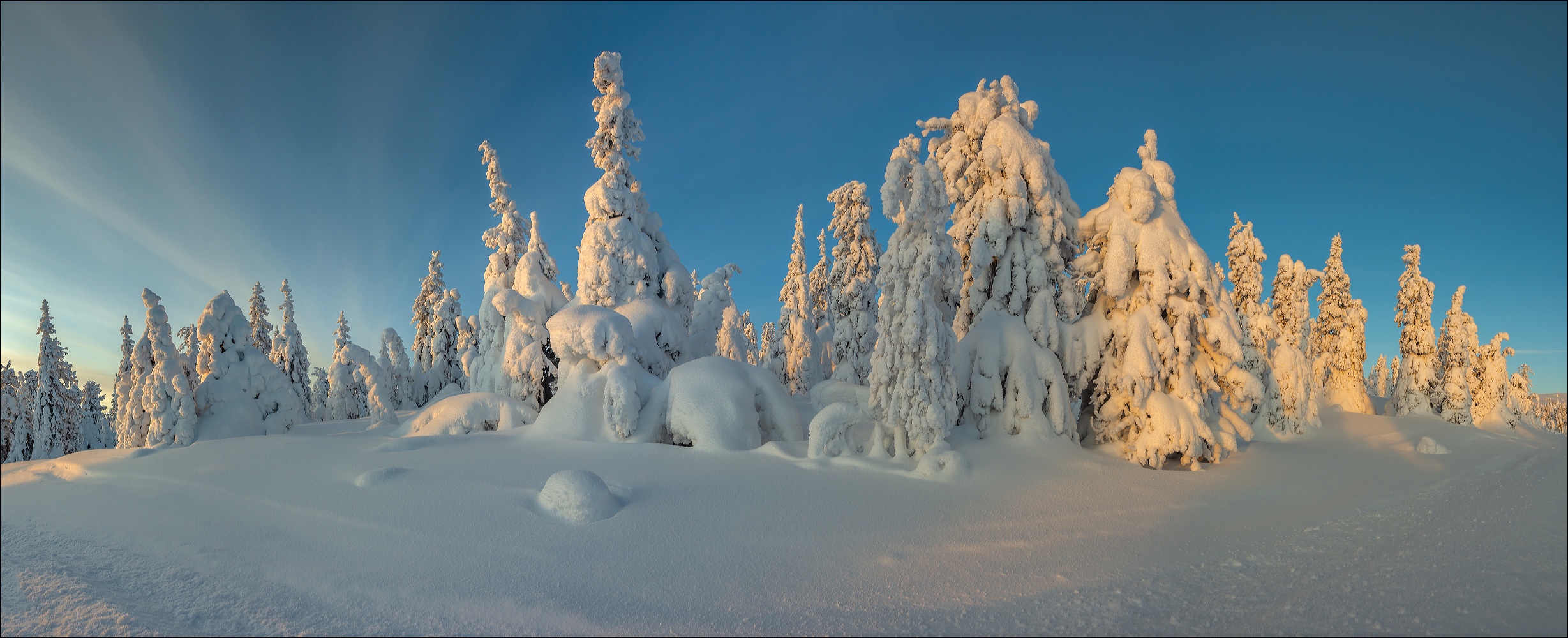 °°° Winter - Winter - Winter °°°
