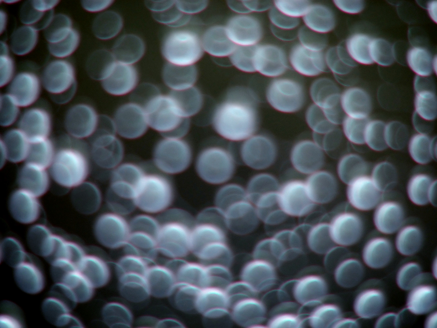 Bubble, blubb, blubb