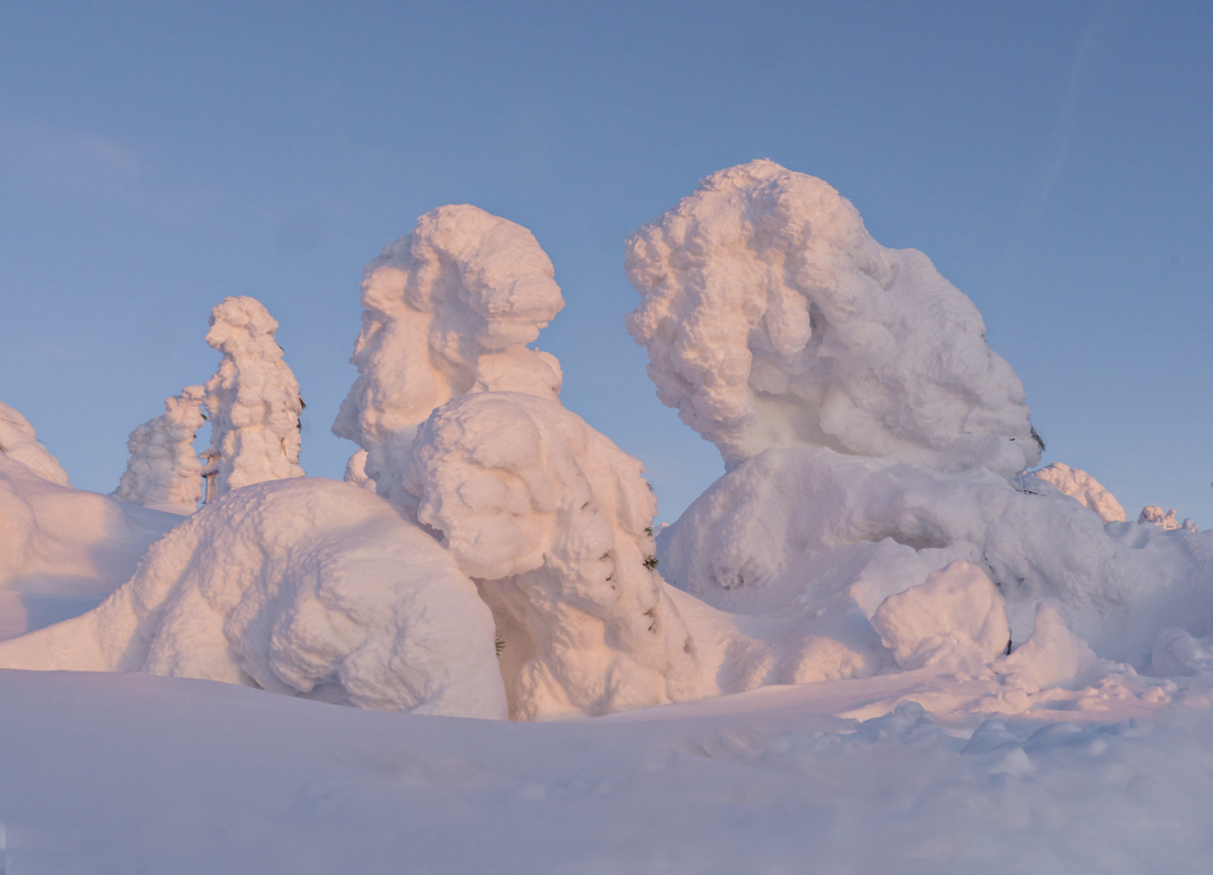 Wer steckt unter dem Schnee?