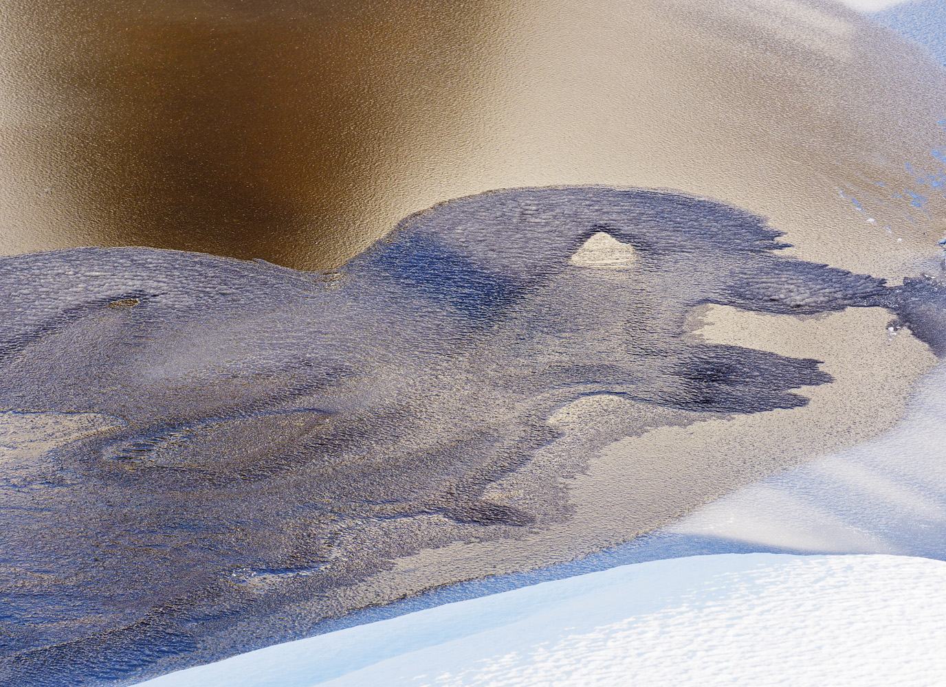 Prähistorischer Eisvogel