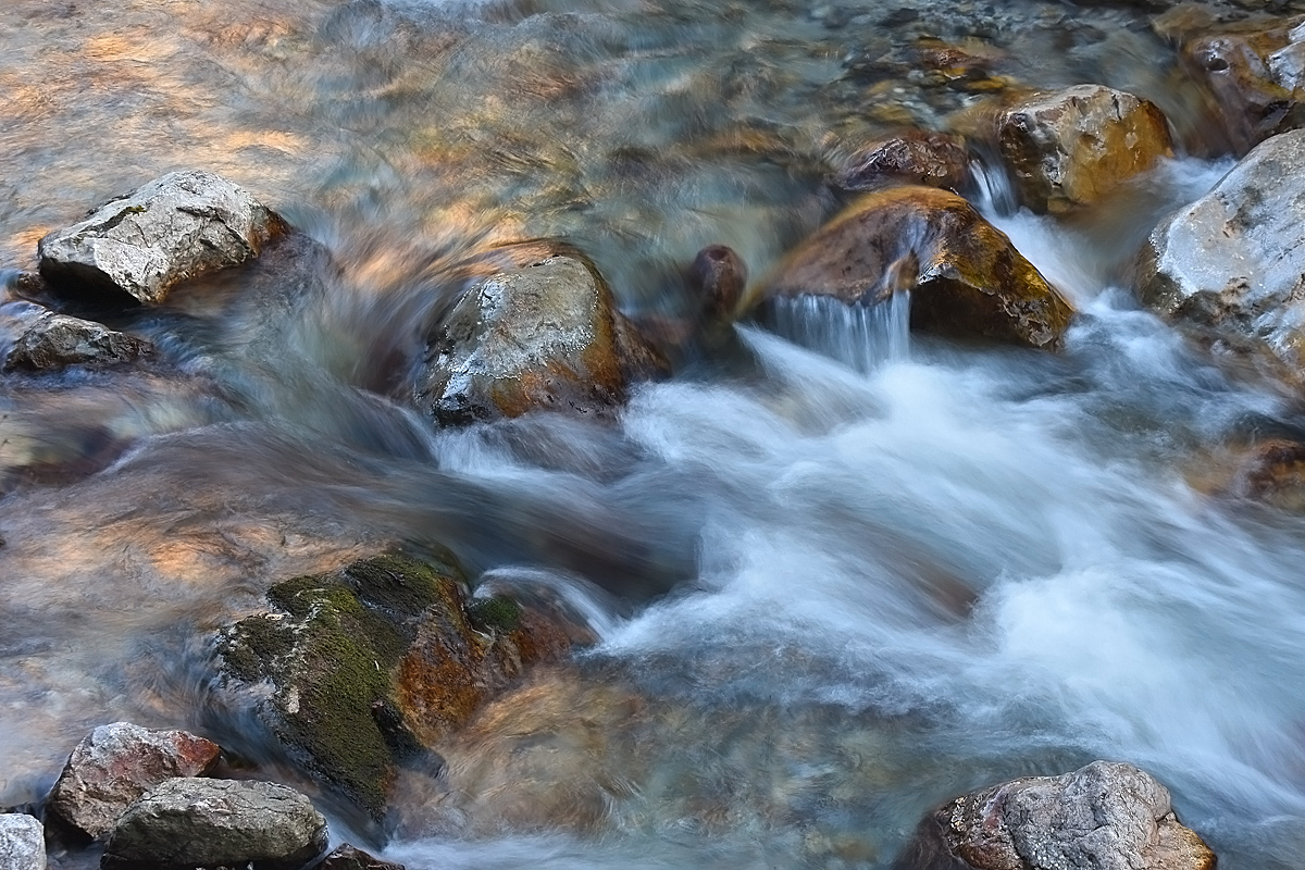 Goldbach (Forum für Naturfotografen)
