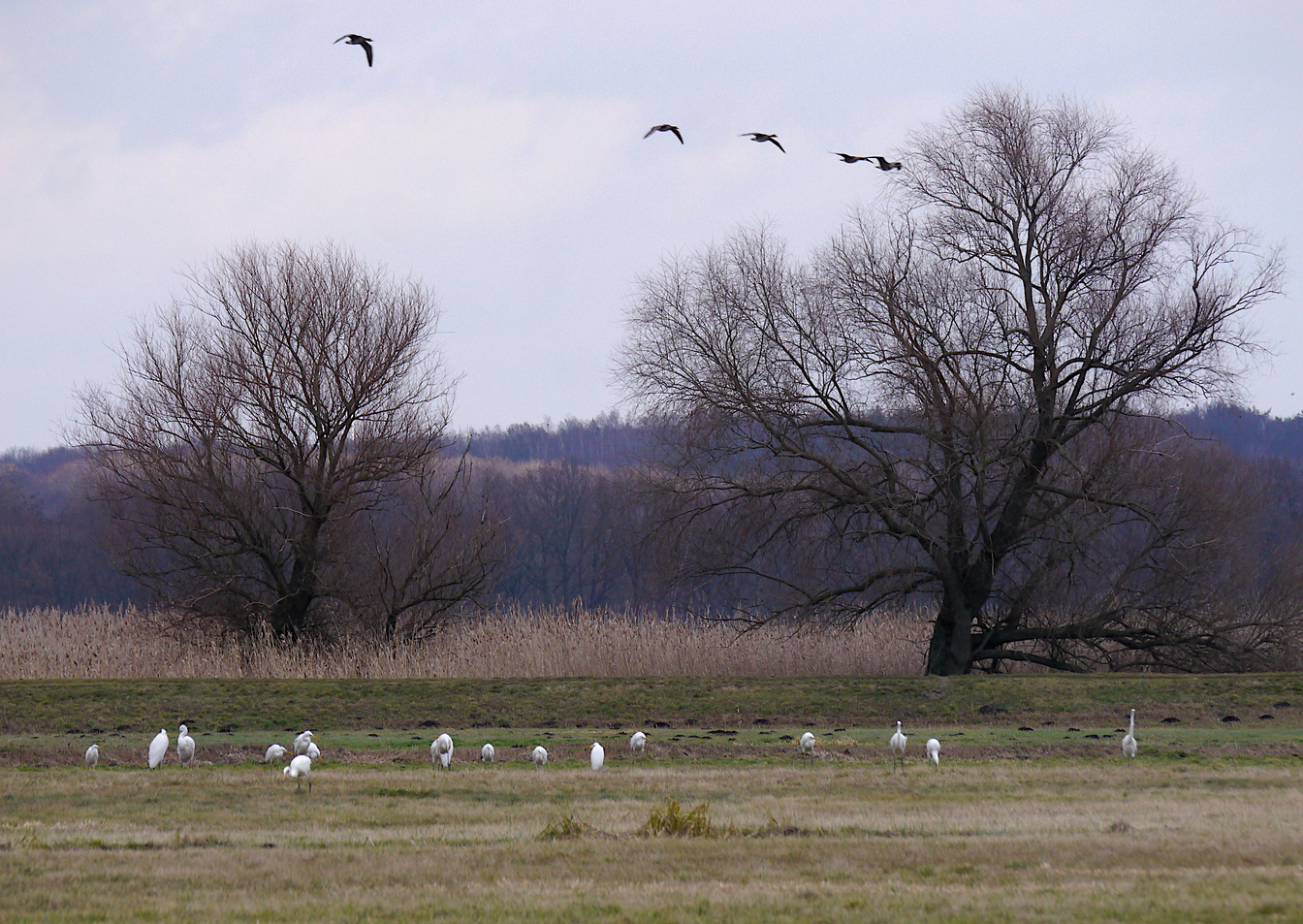 Märkische Landschaft ...