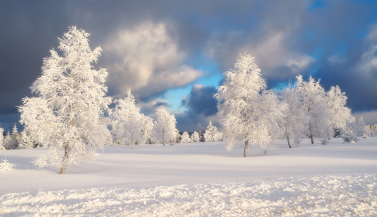 Bilderbuchwinter