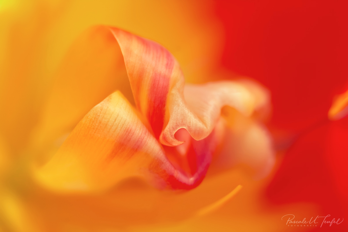 Farbe braucht der Mensch