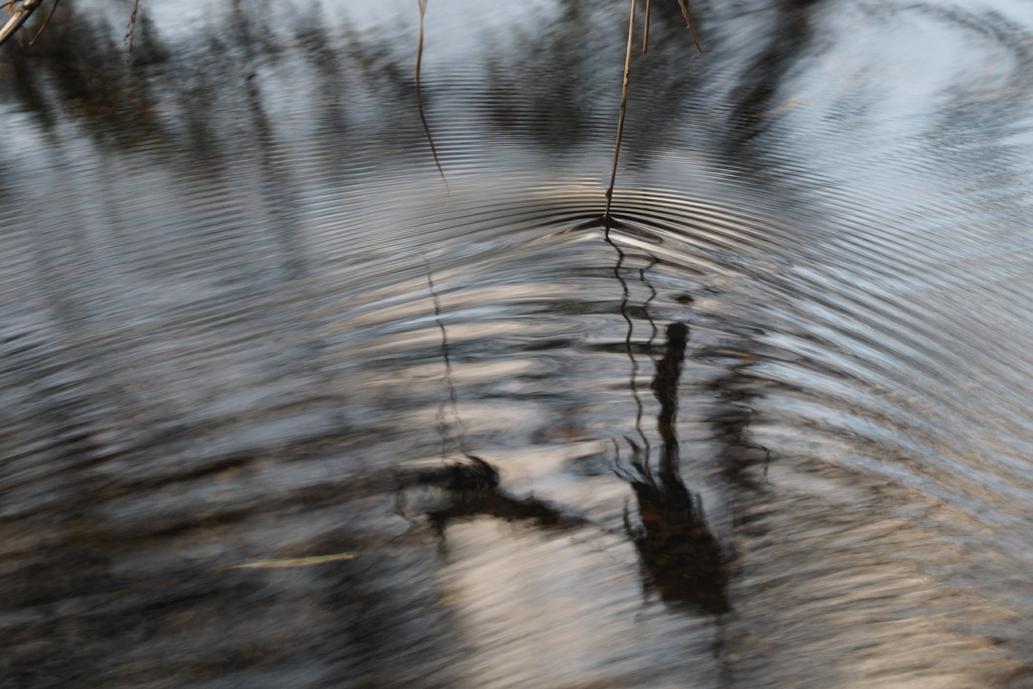 Wasserbewegung