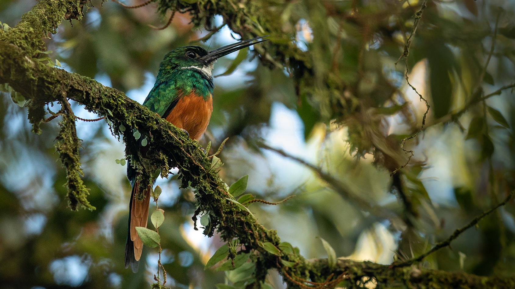 Auf einer Wanderung in Costa Rica