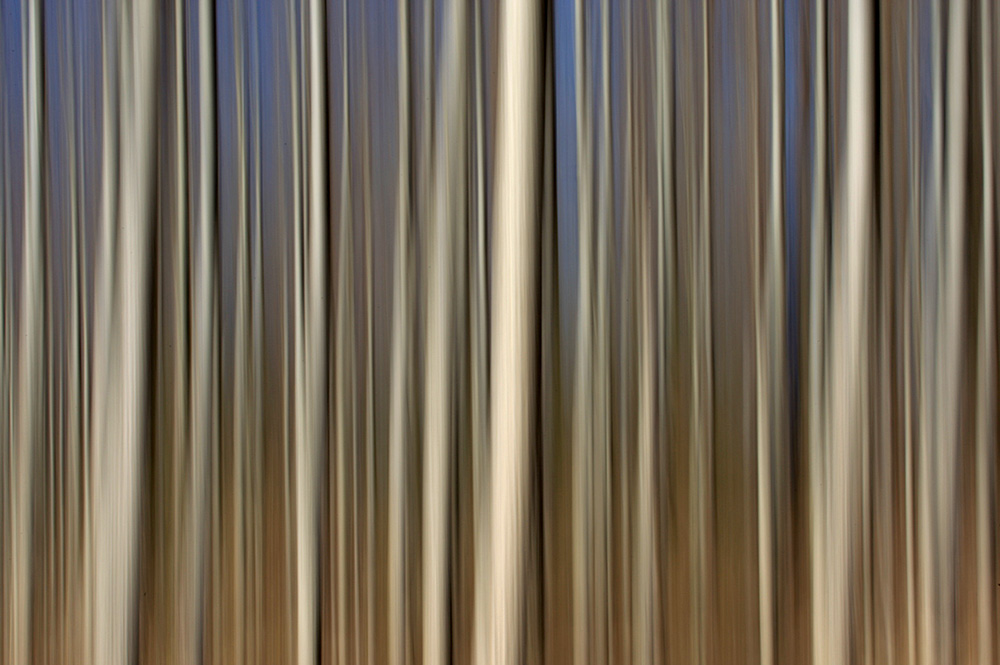 Märchenwald