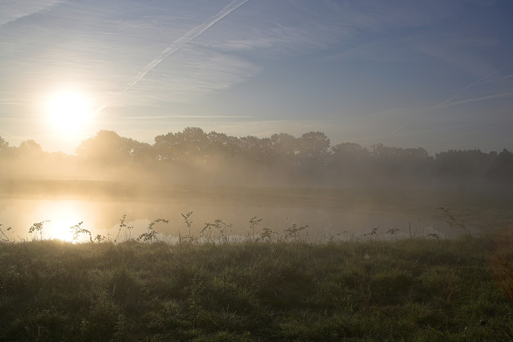 Frühnebel