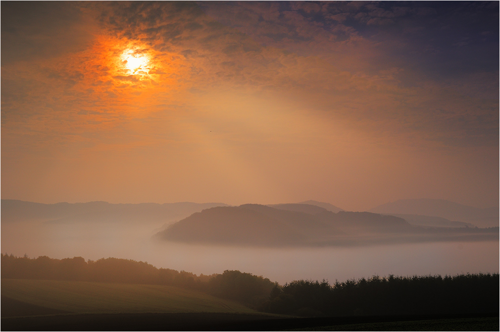 Eifel-Nebelmeer
