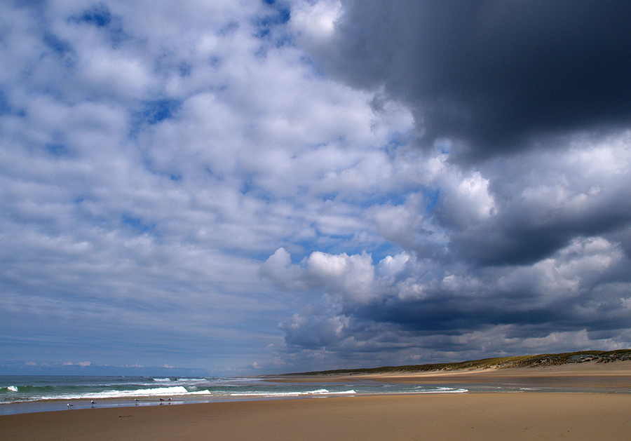 ~ am Meer II ~