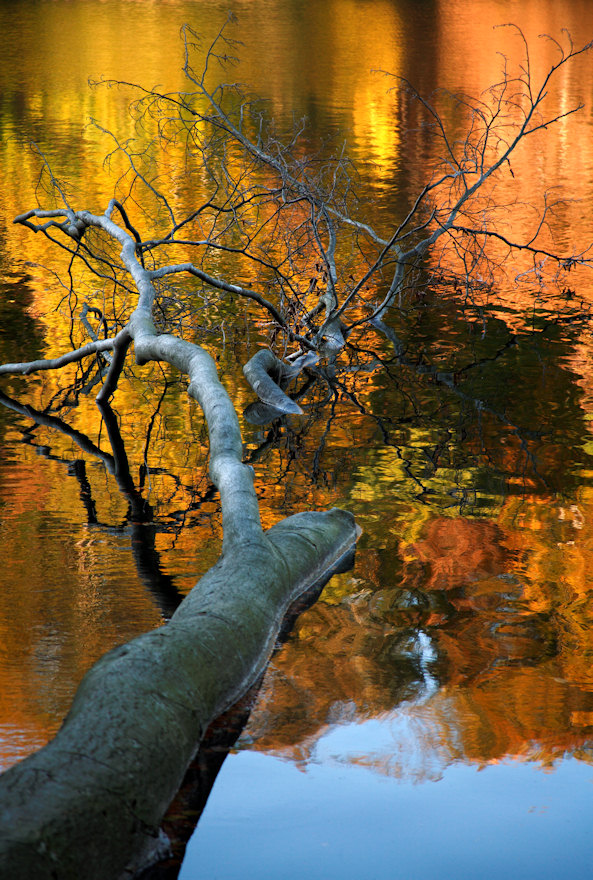 Herbstmotiv, mal etwas anders