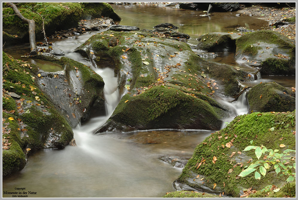 Herbstimpression aus der Ehrbachklamm