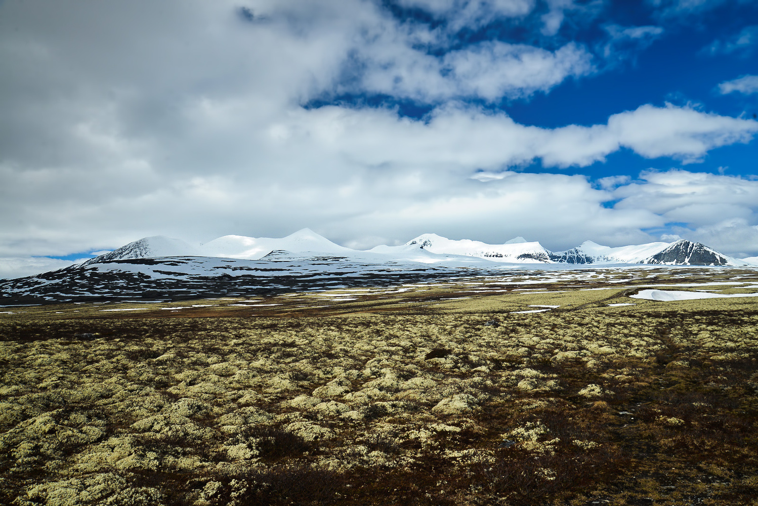 Norwegen Dovrefjell