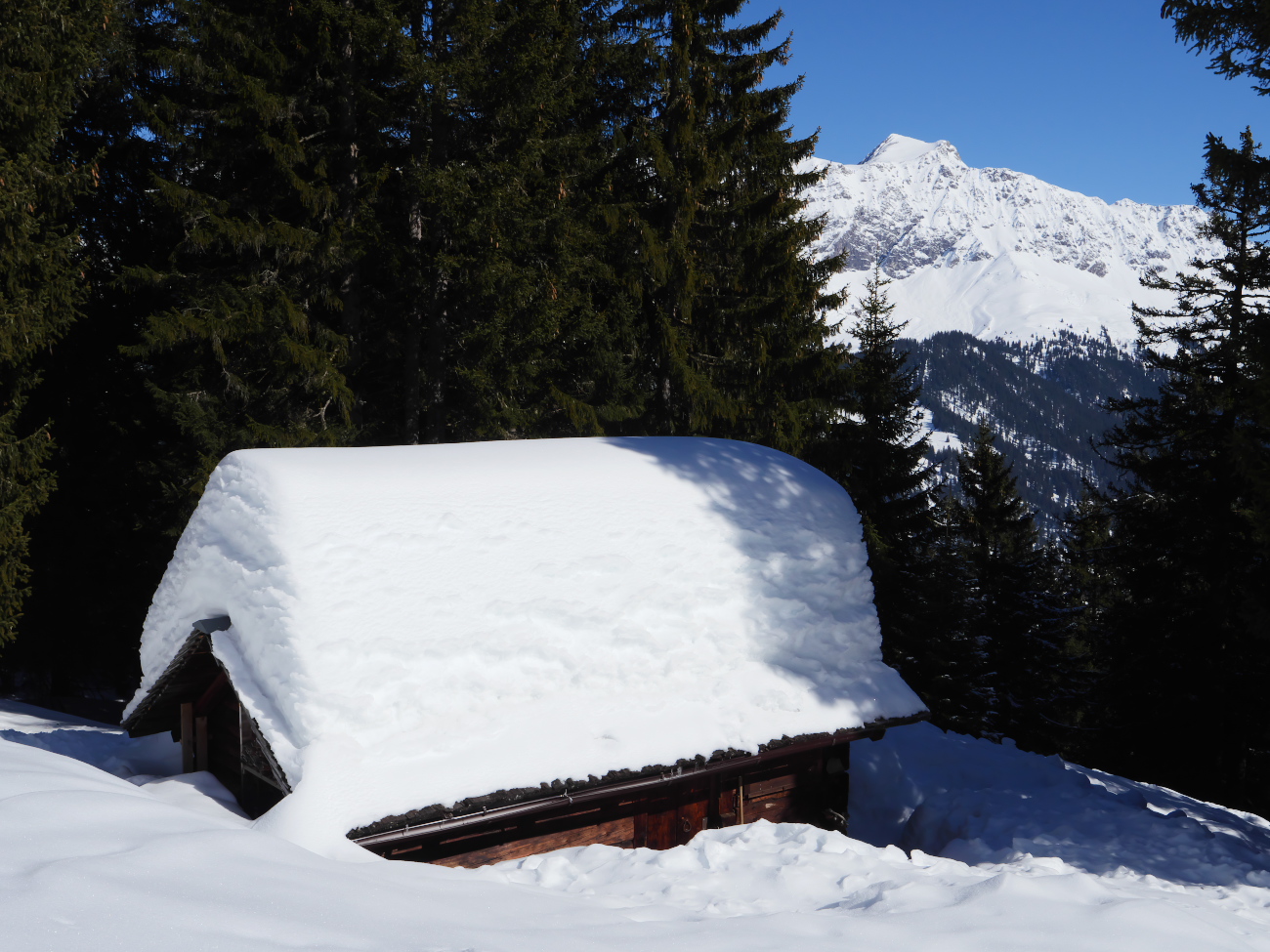 Waldhütte