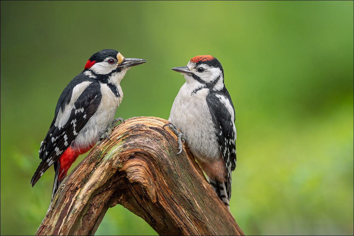 Vater und Sohn