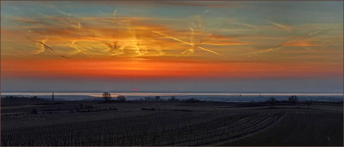 *Sonnenaufgang am  Neusiedlersee*