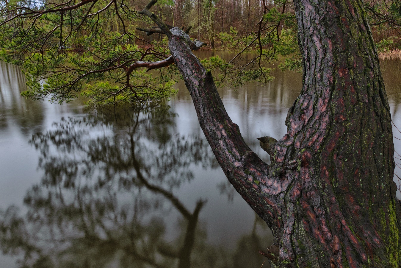 Weiher II