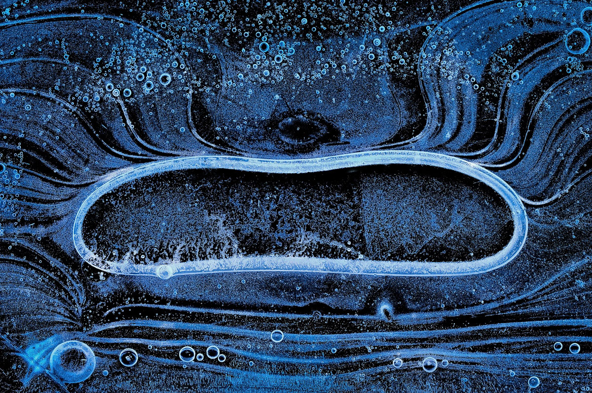 Bandnudelwelt