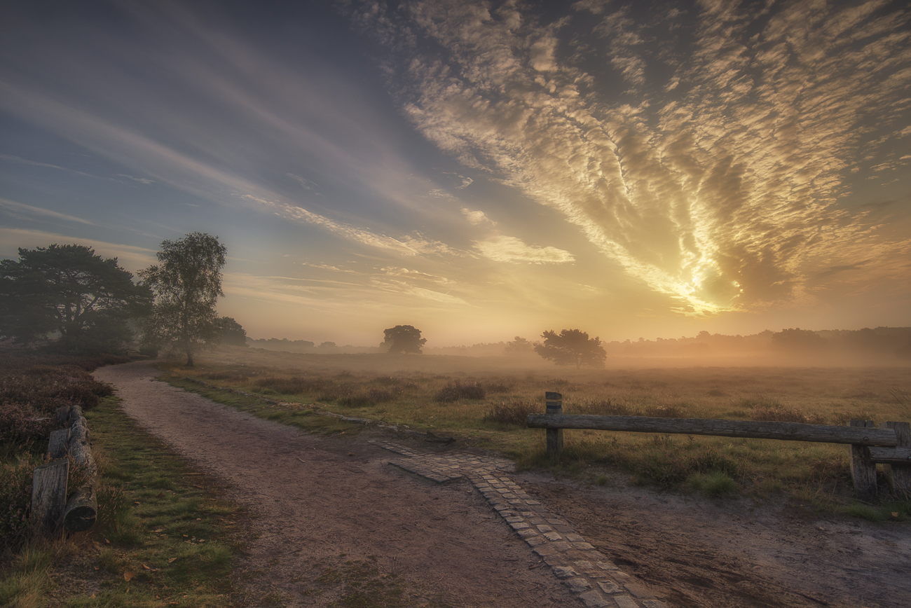Morgenrunde