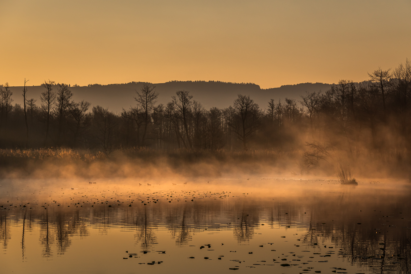 Erste Sonnenstrahlen auf den Bichelweiher