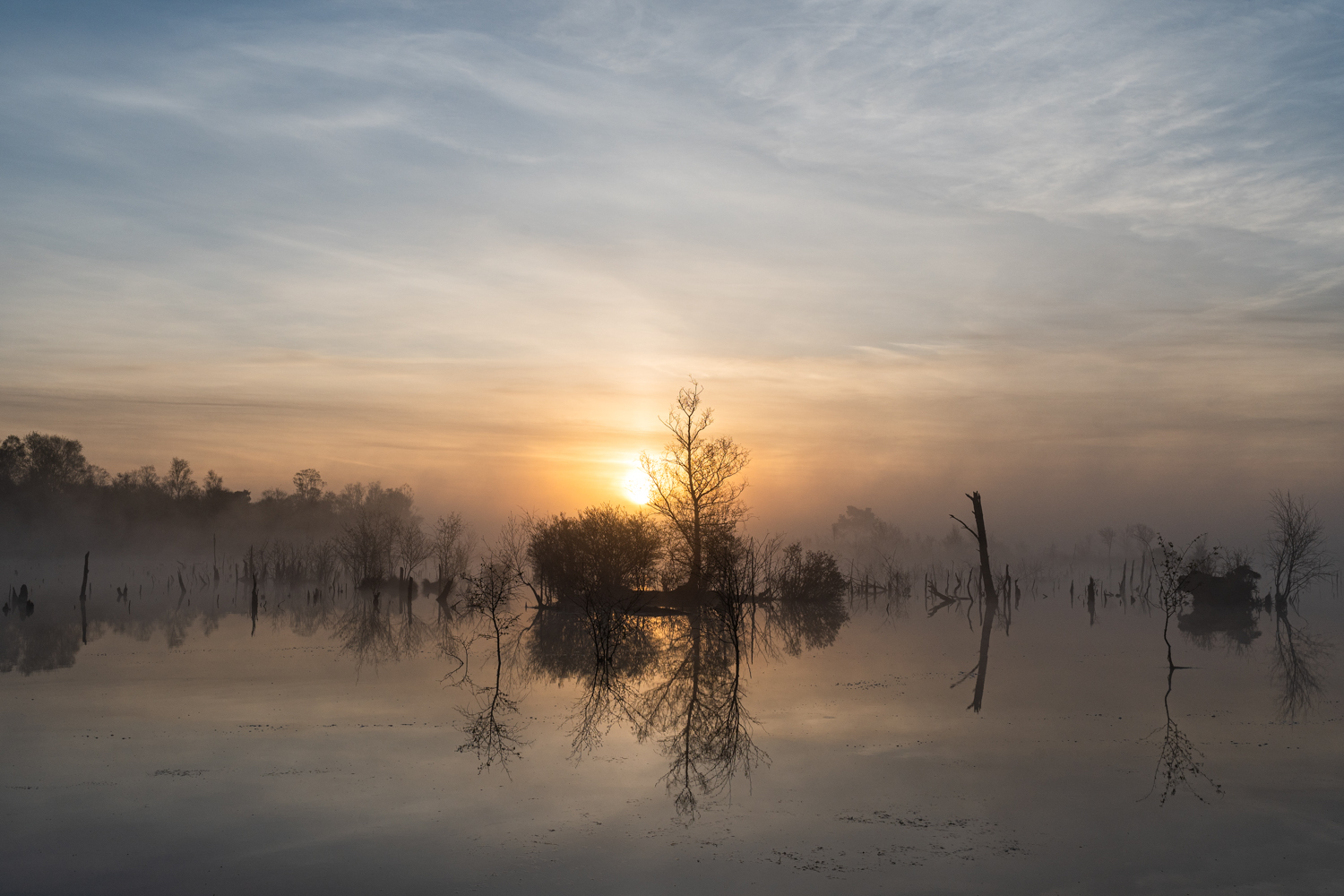 _____Sonnenaufgang im Moor_______