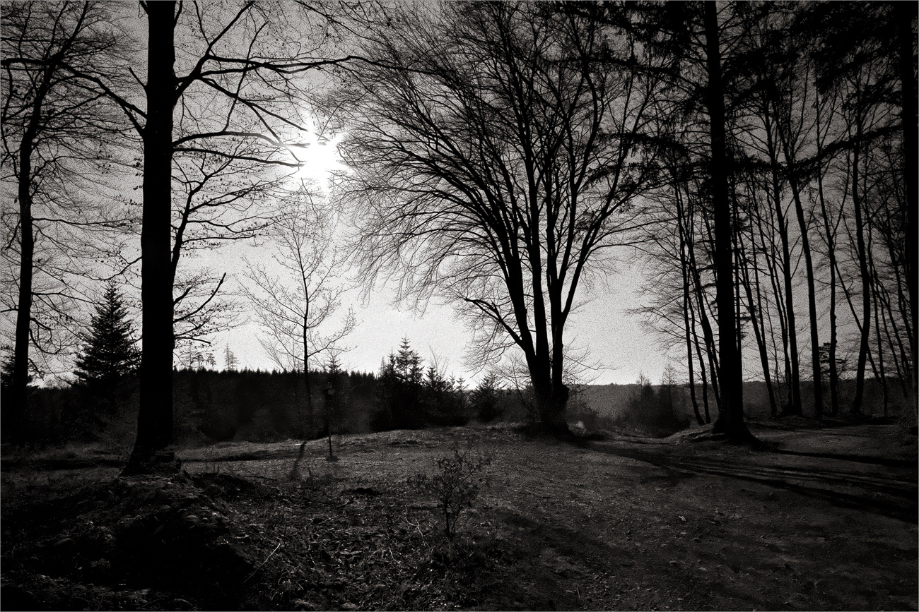 Blick nach draussen ...