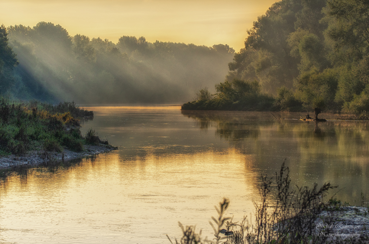 Goldener Morgen