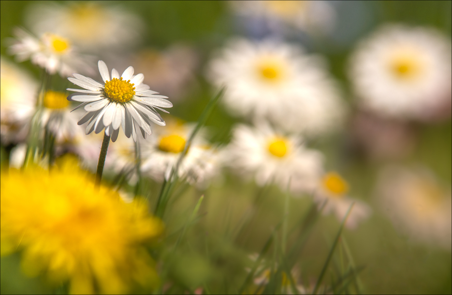 °°° bevor ihre Zeit wieder um ist °°°