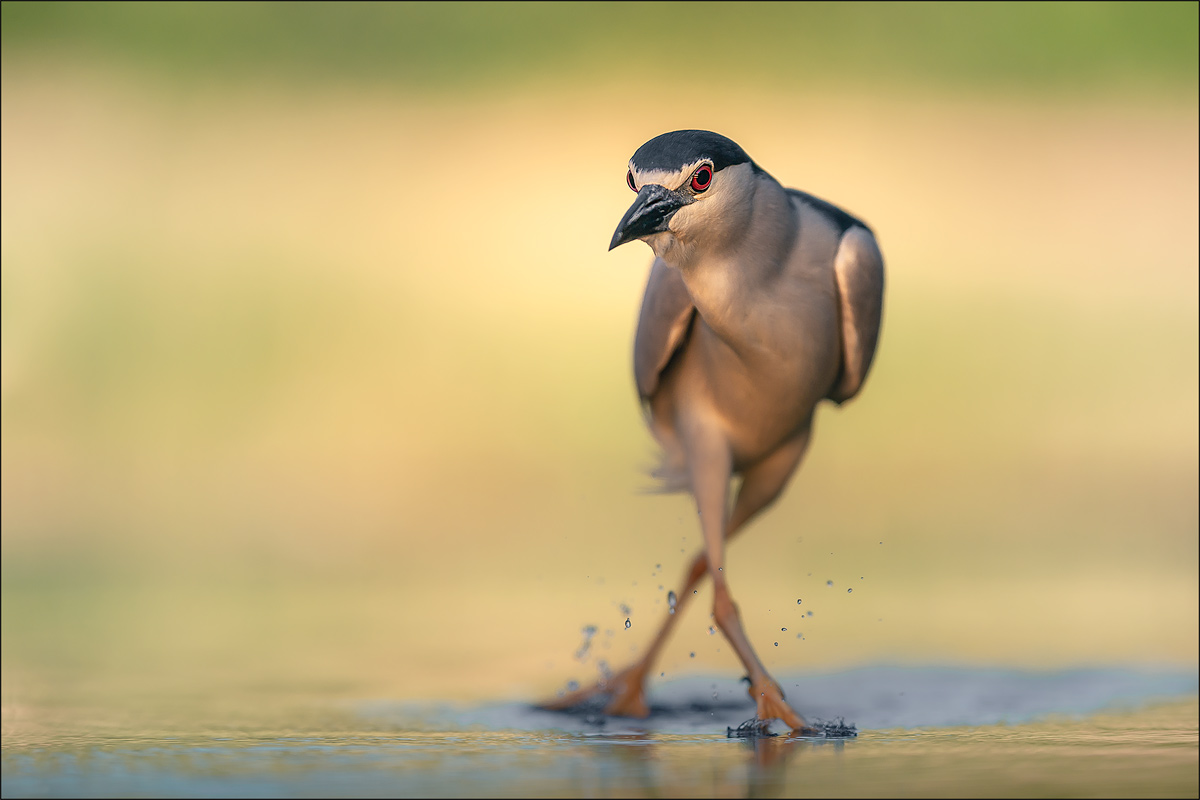 auf dem Catwalk