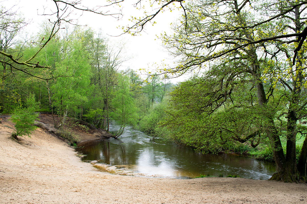 Frühling an der Örtze