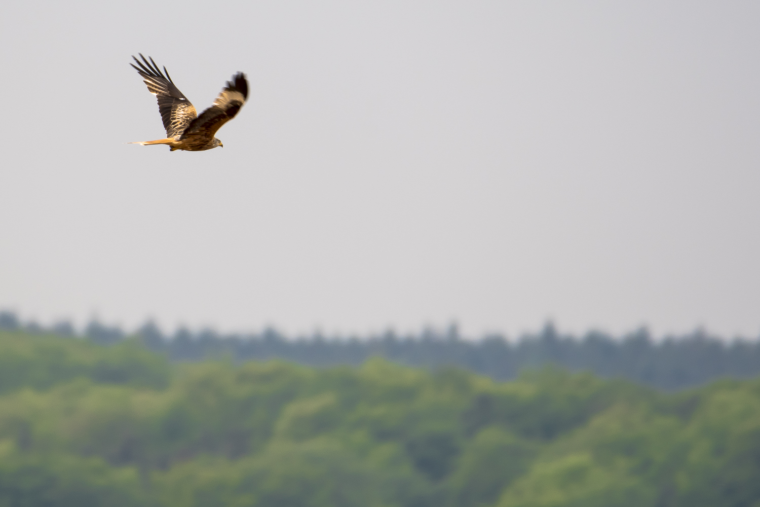 Ausflug übers Land