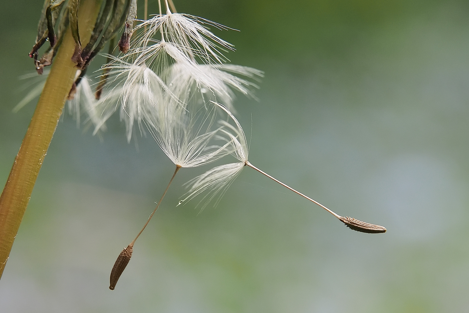 Alle haben Wind und Regen nicht abgekriegt