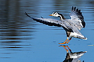 Landeanflug...