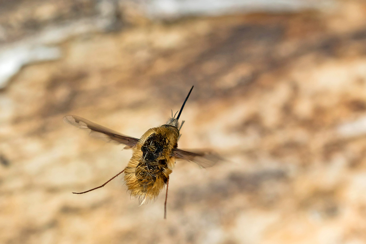 Ein Flieger