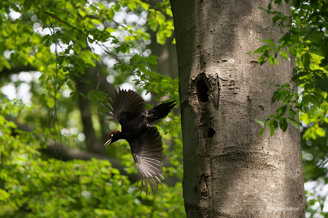 Und...Abflug!