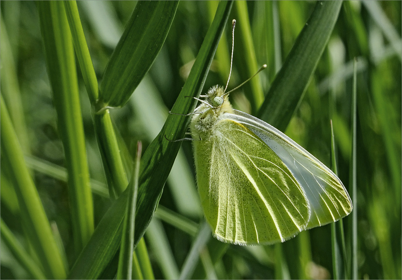 Mittagsruhe